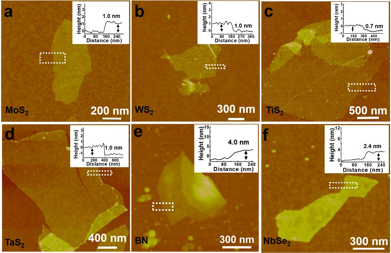 tmd nanosheet
