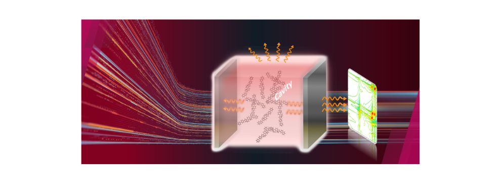 城大物理學家開創嶄新光誘導物質的量子理論，打開尖端光學技術發展大門