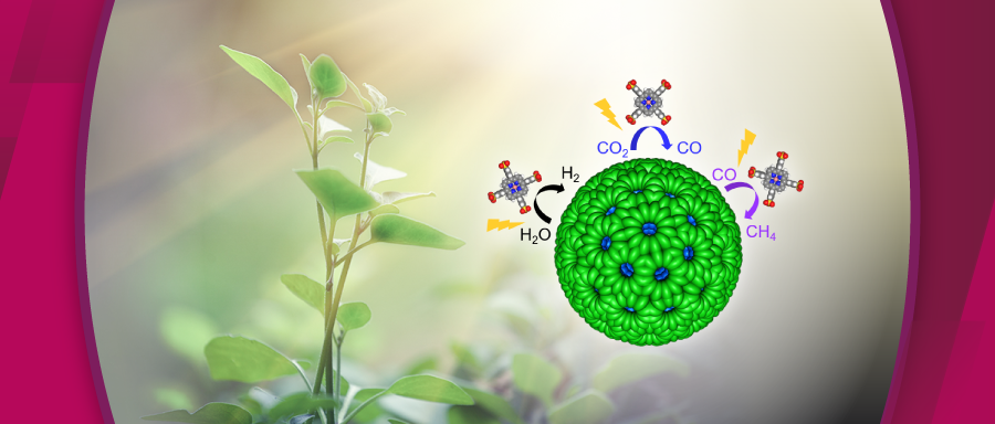 嶄新光催化系統把二氧化碳轉為燃料 效能更勝自然光合作用