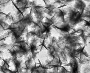 Bimetallic alloy nanocatalyst boosts efficient ammonia production with potential for carbon-free energy