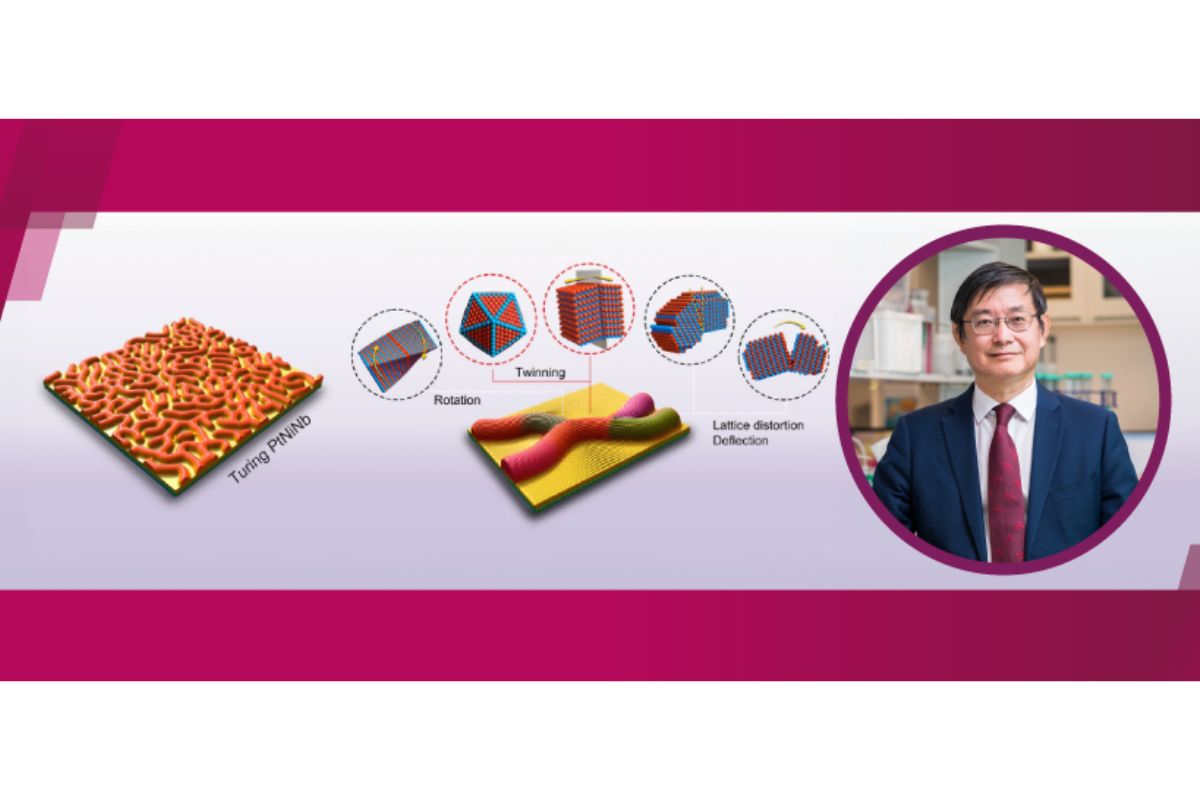 以圖靈結構研製出革命性的高效、穩定製氫催化劑