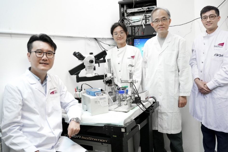 城大神經科學家揭示美他沙酮對神經損傷的新治療潛力