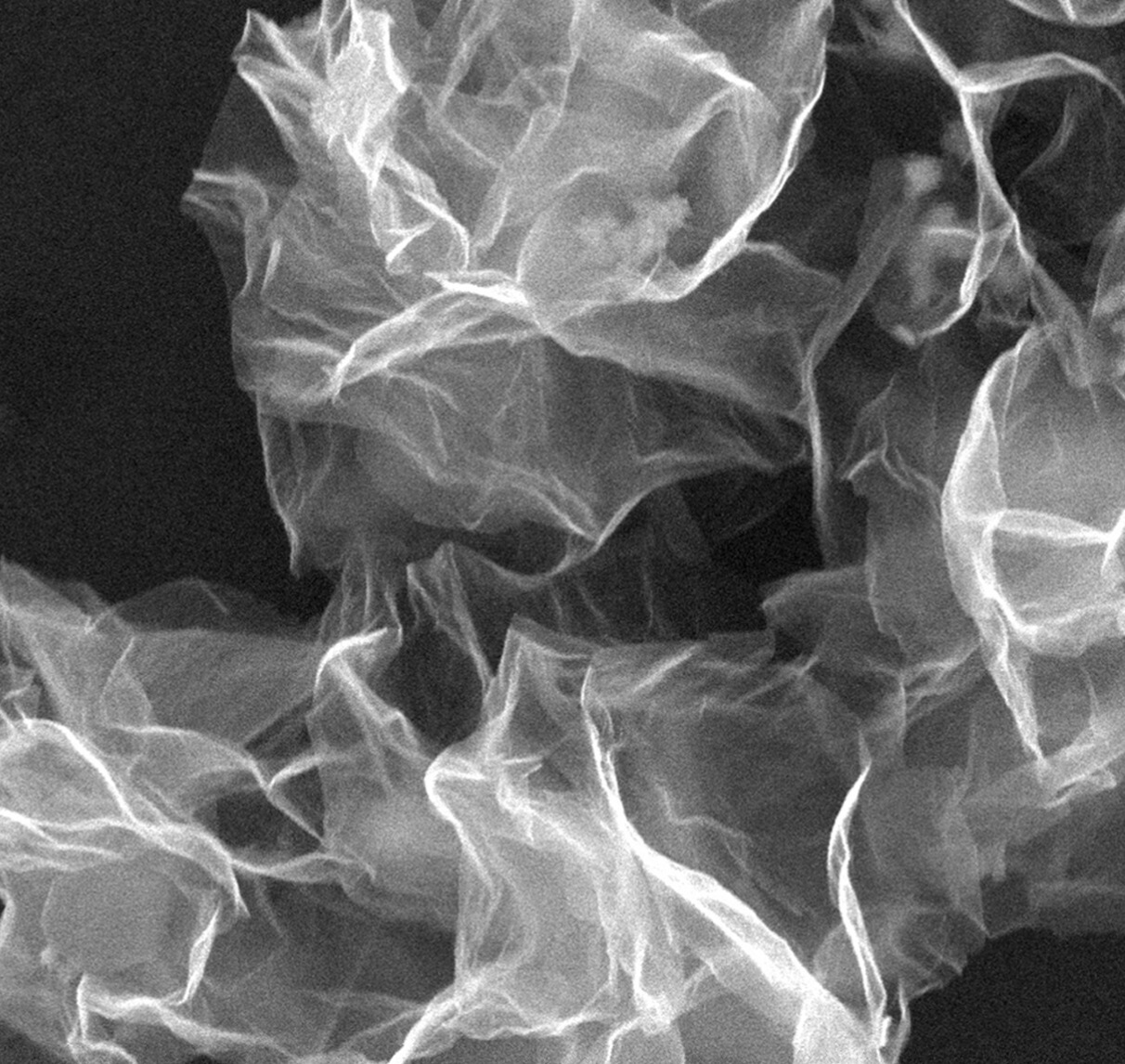 高效雙功能催化劑實現高性能鋅-硝酸鹽電池可持續儲能