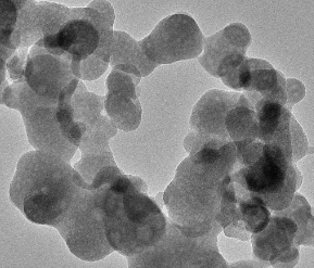 城大研發受生物礦化啓迪的綠色陶瓷製作方法