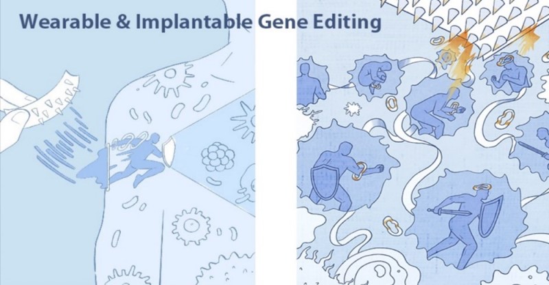 Soft hydrogel electrodes encapsulating cancer antigen nucleic acids are developed for in vivo gene delivery and cellular electroporation in a single on-skin procedure, facilitating the activation of tumor-fighting T cells through genetically engineered dendritic cells, enhancing cancer-specific immune responses for therapeutic benefits. (Source: Yuan W. J., Qu C. et al. https://doi.org/10.1073/pnas.2322264121