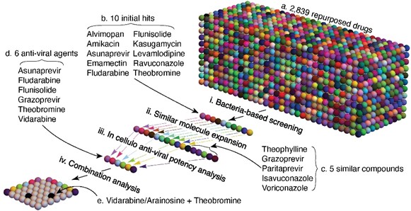 Systematic approach for anti-influenza agents yielding the theobromine and arainosine drug duo