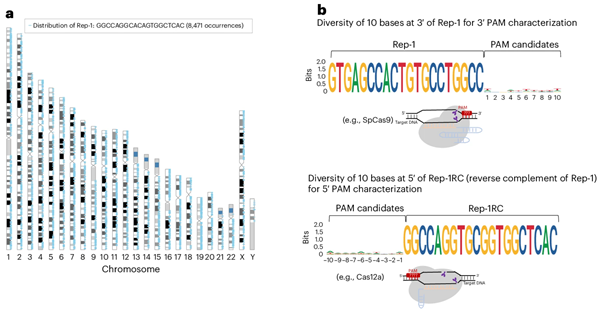 Cracking the CRISPR code : CityUHK unbolts gateway to sharper gene editing