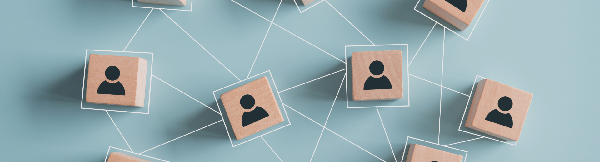 Undeargraduate Programmes Banner Image