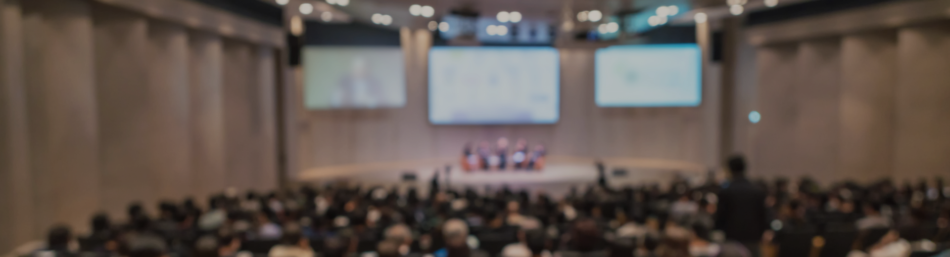 Undeargraduate Programmes Banner Image