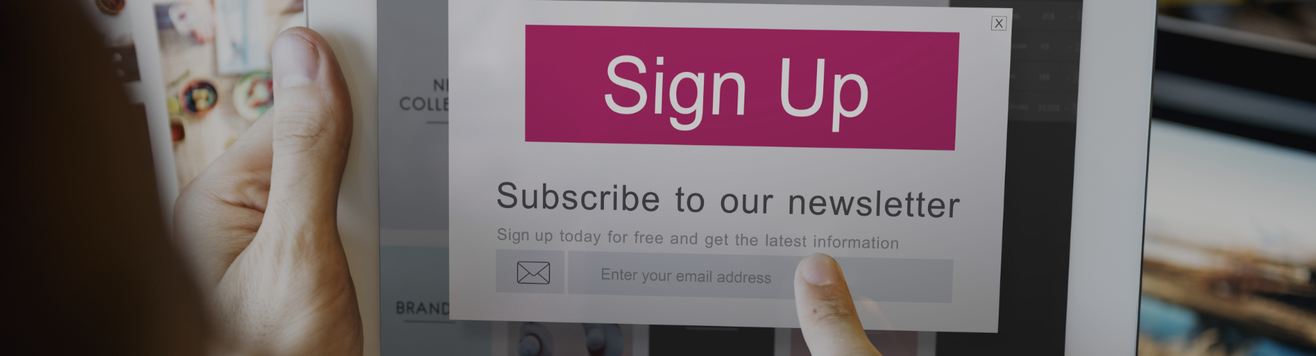 Undeargraduate Programmes Banner Image