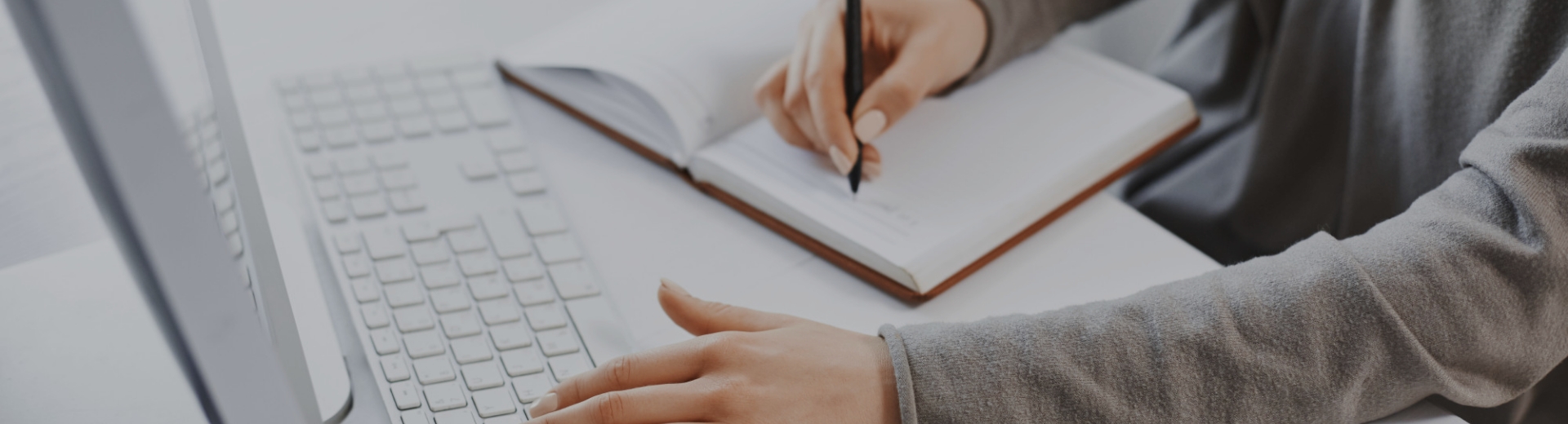 Undeargraduate Programmes Banner Image