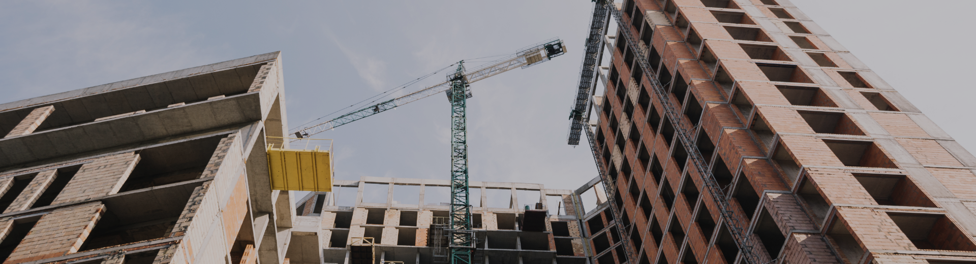 Undeargraduate Programmes Banner Image