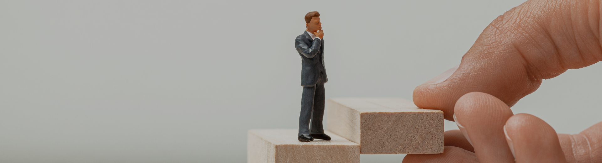 Undeargraduate Programmes Banner Image