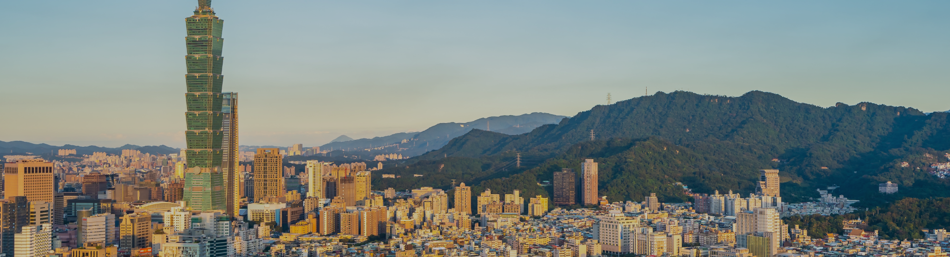 Undeargraduate Programmes Banner Image