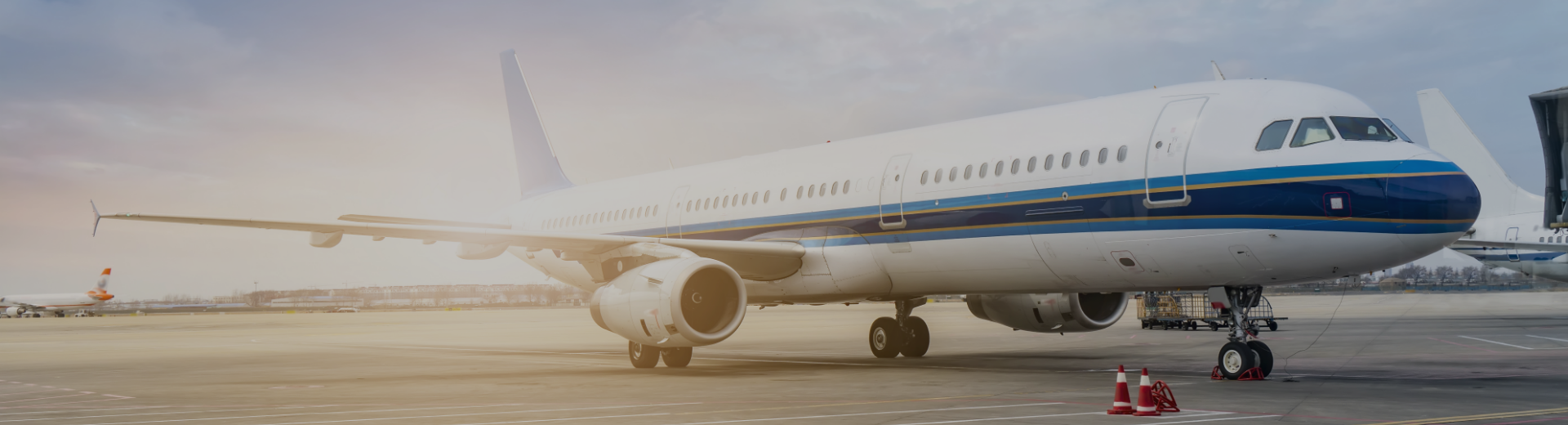 Undeargraduate Programmes Banner Image