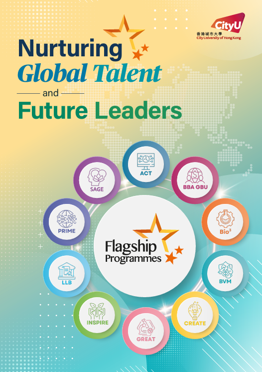 Flagship Programmes_2027 leaflet