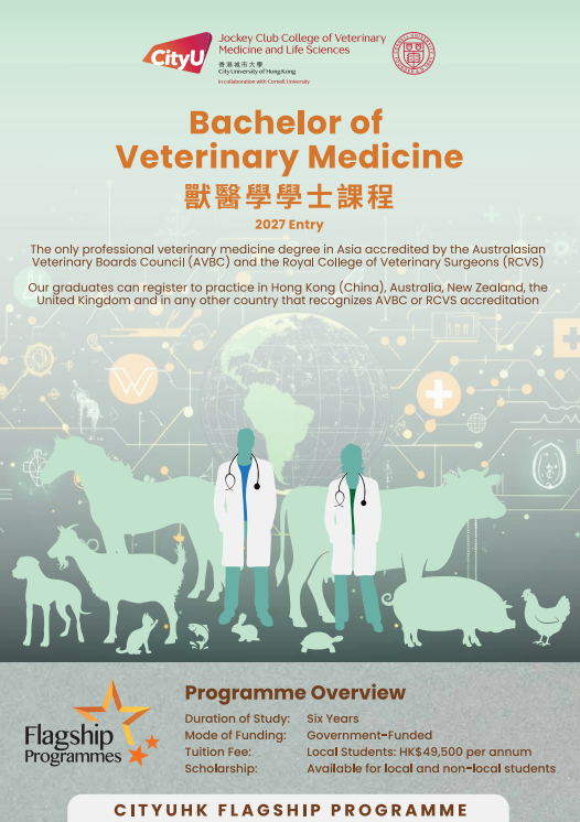 JCC_BVM_Leaflet_2026