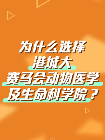 imagexhs-JCC.png