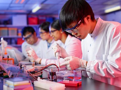 Dept cbm 神经科学系