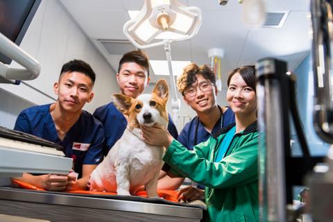 Dept jcc 临床动物医学系