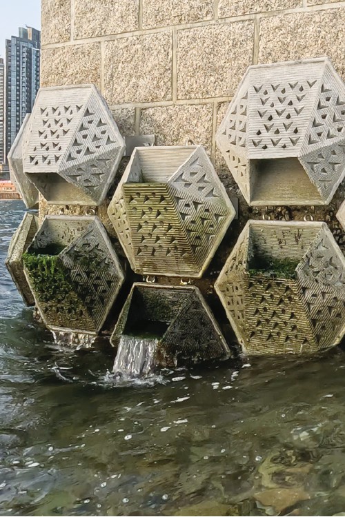 多邊形生態組件