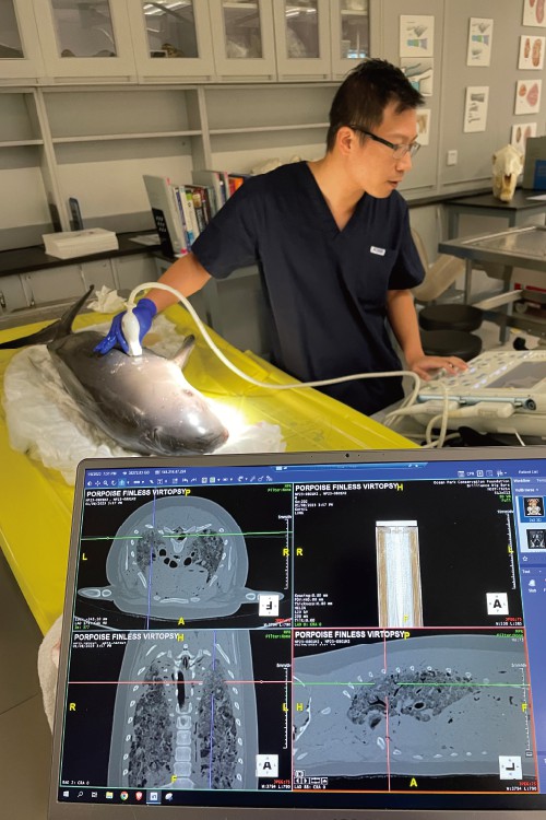 洞察隱秘：動物影像革命