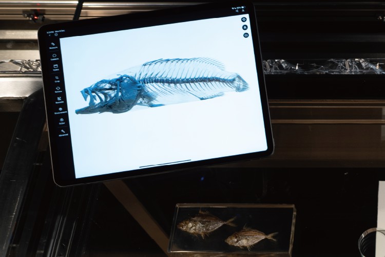 雲合混合實境平台