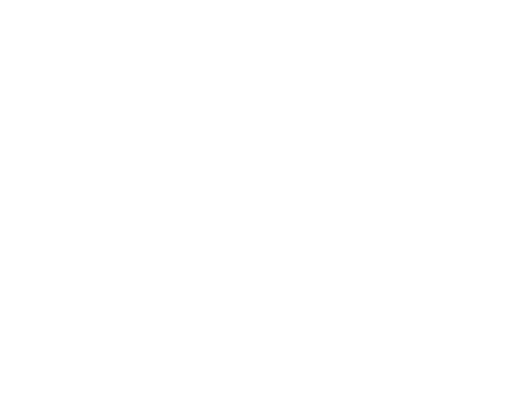 Leonardo_logo_white.png
