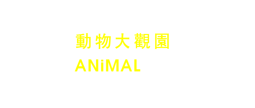 動物大觀園 ANiMAL