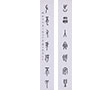 Couplet in Oracle-bone Inscription to Zhu Ziqing