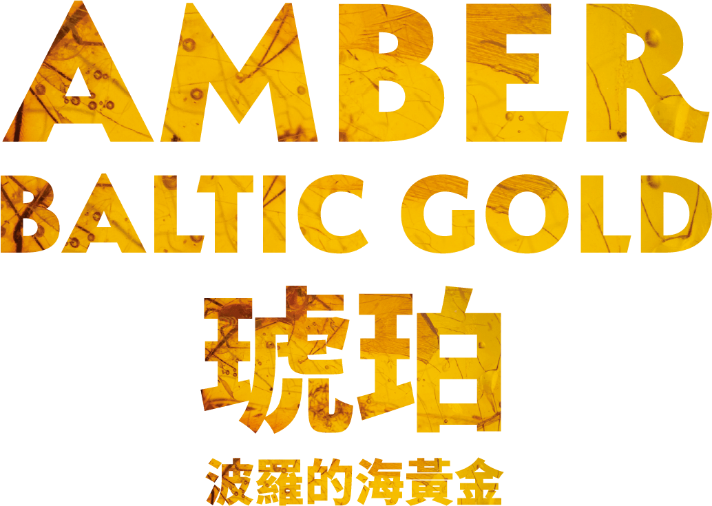 Amber_logo.png