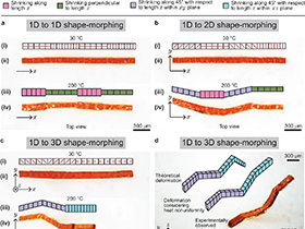 New Paper Published on Liquid Crystal Elastomers in Nature Communications