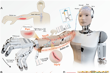 Prof. YU Xinge’s Research Team Develops Neuromorphic Robotic e-skin