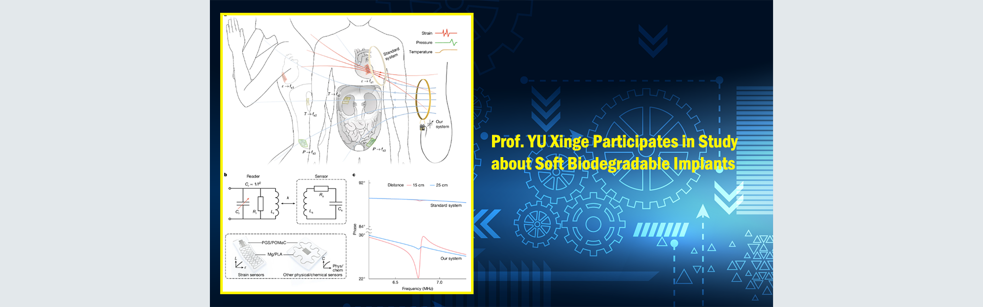 Prof. YU Xinge Participates in Study about Soft Biodegradable Implants