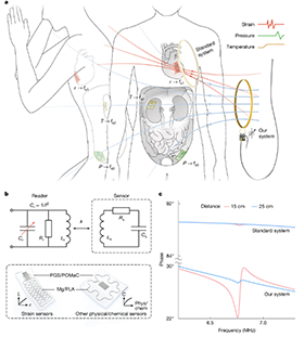 Prof. YU Xinge Participates in Study about Soft Biodegradable Implants