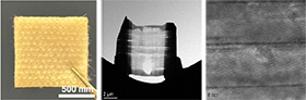 Prof. ZHANG Yong and his team develop antibacterial woundplast based on reduced MXene