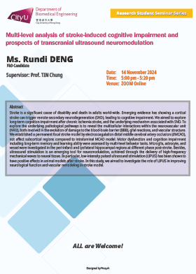 Multi-level analysis of stroke-induced cognitive impairment and prospects of transcranial ultrasound neuromodulation in stroke