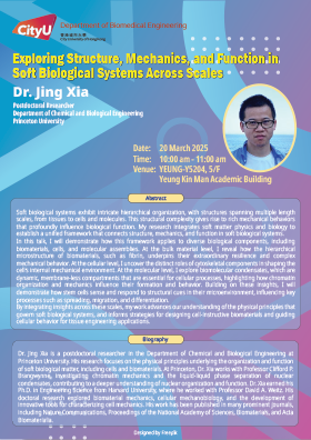 Exploring Structure, Mechanics, and Function in Soft Biological Systems Across Scales
