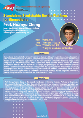 Standalone Stretchable Device Platform for Biomedicine
