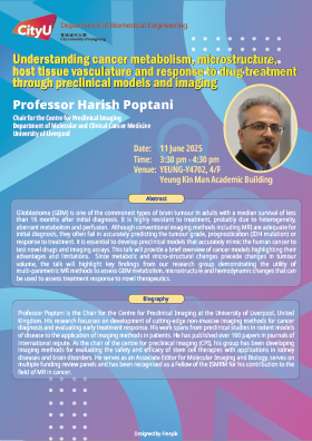Understanding cancer metabolism, microstructure, host tissue vasculature and response to drug treatment through preclinical models and imaging