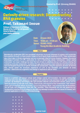 Curiosity-driven research; Deconstructing RNA granules