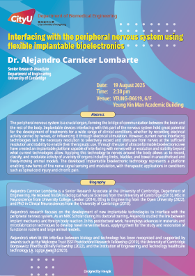 Interfacing with the peripheral nervous system using flexible implantable bioelectronics