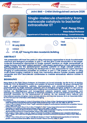 Single-molecule chemistry: from nanoscale catalysis to bacterial extracellular ET