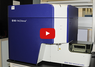 Flow Cytometer in action