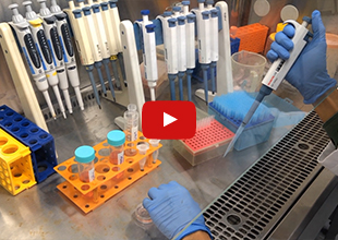 Cell Culturing Work Principle