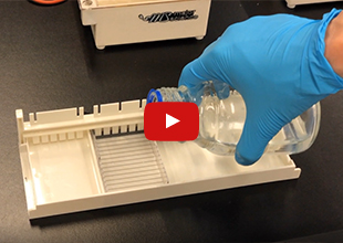 Fluorescence Spectroscopy in operation