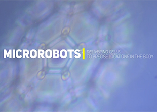 Microrobots in the Body