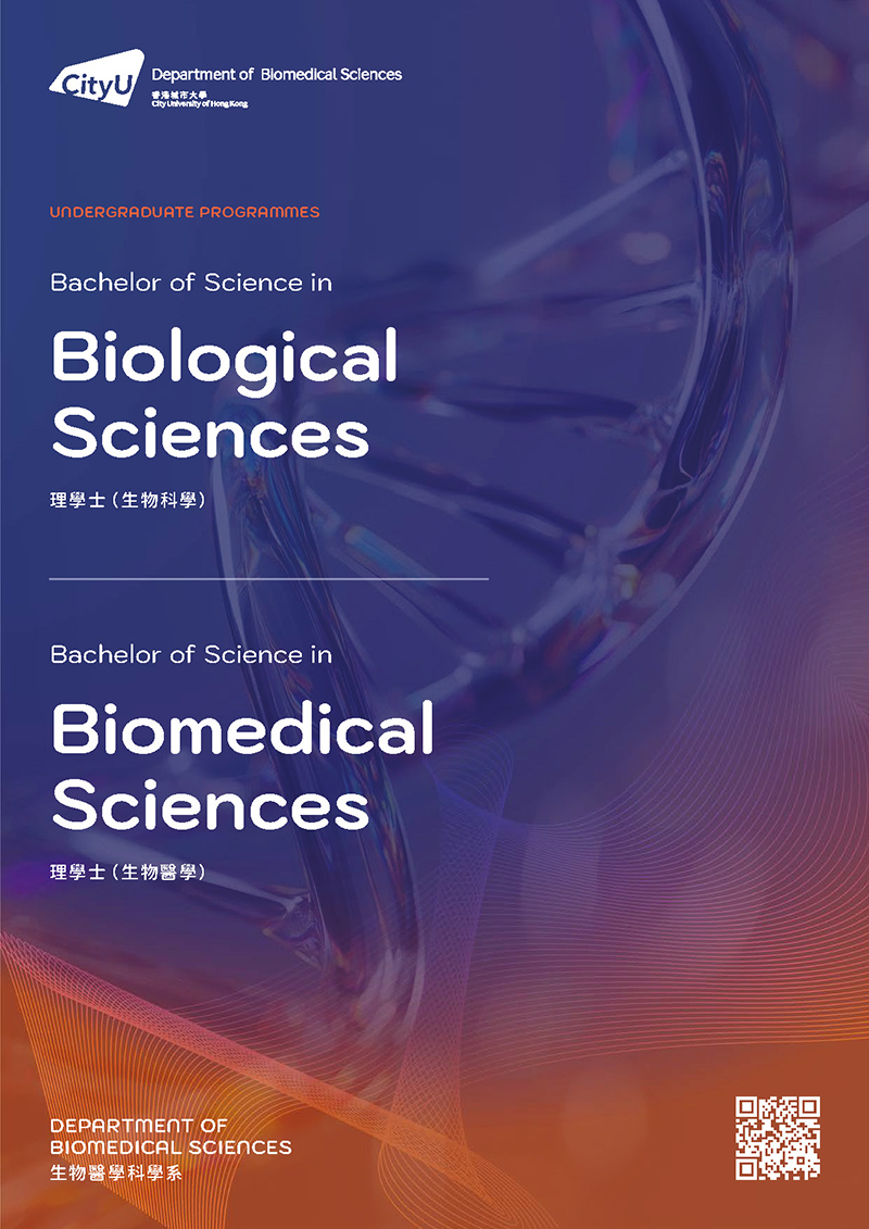 UG Programme Brochure