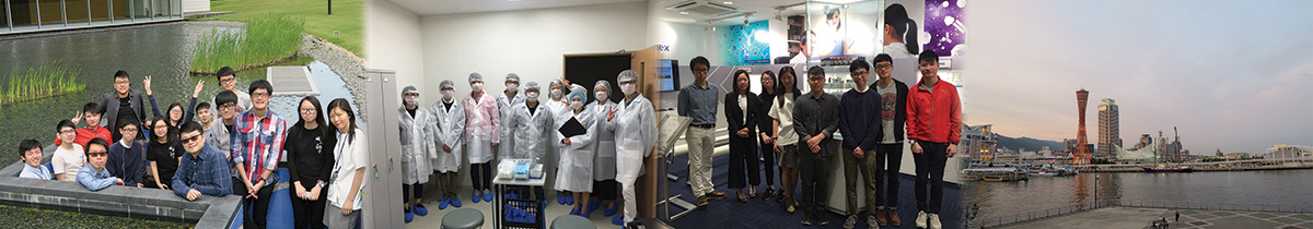 BScBMS Student Study Tour to Japan