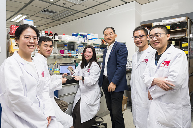 CityU researchers identify a protein that promotes cancer metastasis, providing a new potential treatment target